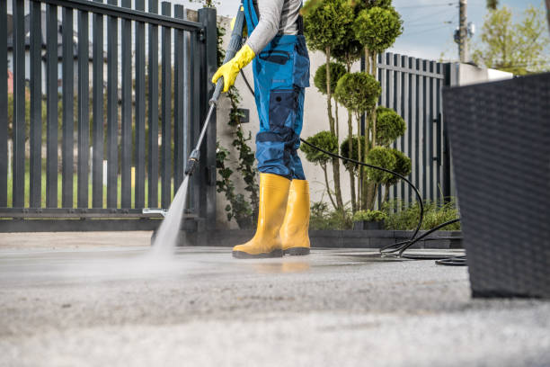 Best Roof Pressure Washing  in USA